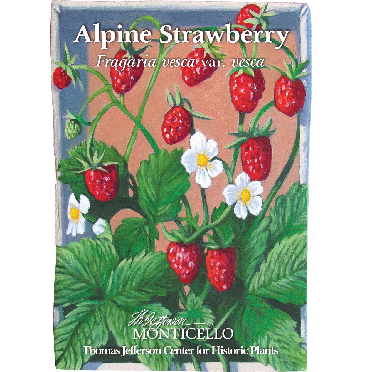 Alpine Strawberry Seeds (Fragaria vesca var. vesca) - Shop-orias