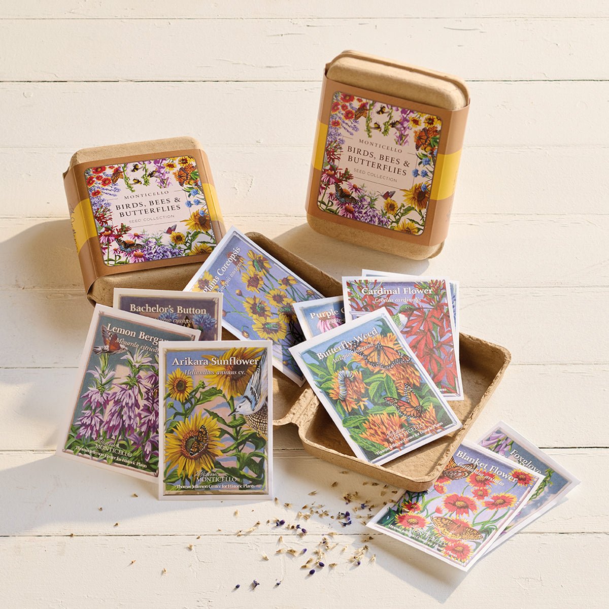 Birds Bees Butterfly Seed Collection - Clamshell - Shop-orias