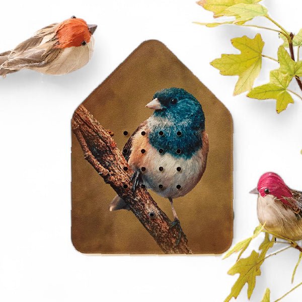 Birdsong Sound Box - Shop-orias