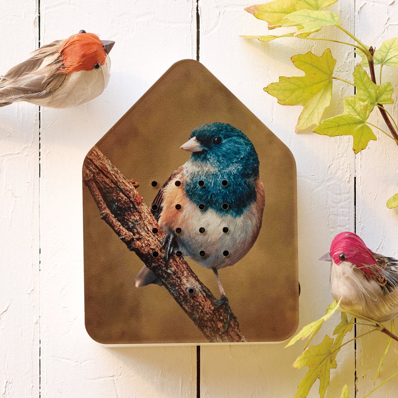 Birdsong Sound Box - Shop-orias