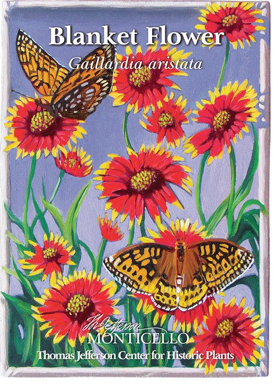 Blanket Flower Seeds (Gaillardia aristata) - Shop-orias