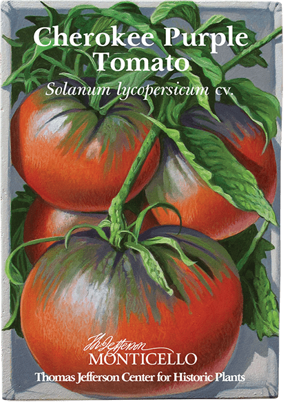 Cherokee Purple Tomato Seeds (Solanum lycopersicum cv.) - Shop-orias
