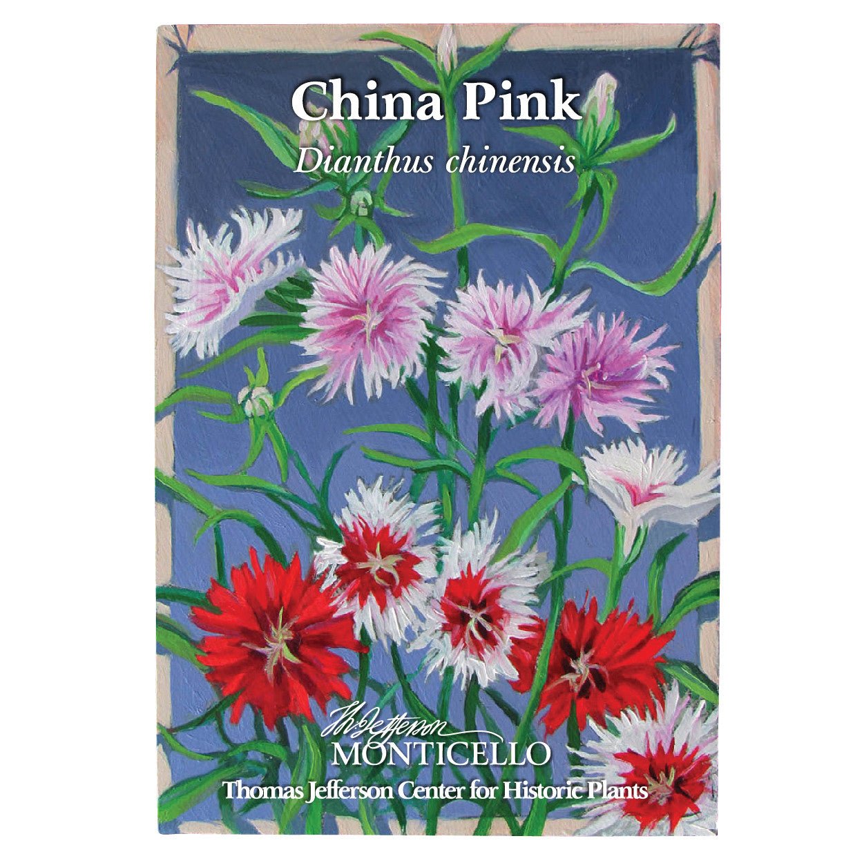 China Pink Seeds (Dianthus chinensis) - Shop-orias