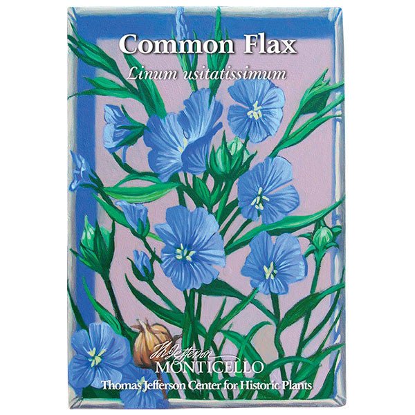 Common Flax Seeds (Linum usitatissimum) - Shop-orias