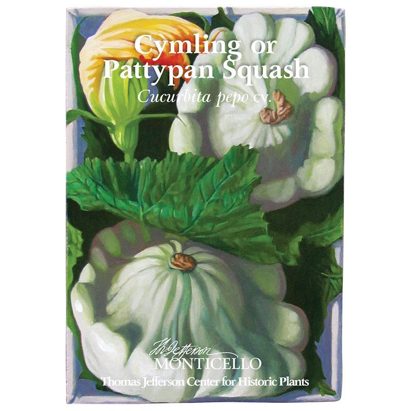 Cymling or Pattypan Squash Seeds (Cucurbita pepo) - Shop-orias