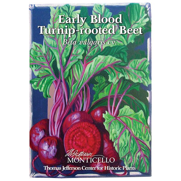 Early Blood Turnip - rooted Beet Seeds (Beta vulgaris cv.) - Shop-orias