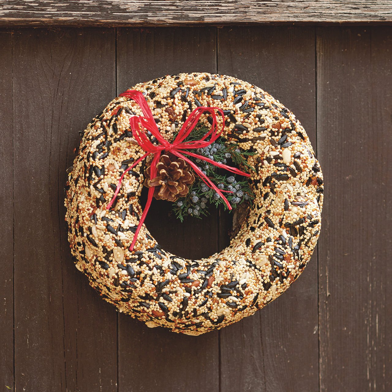 Festive Birdseed Wreath - Shop-orias