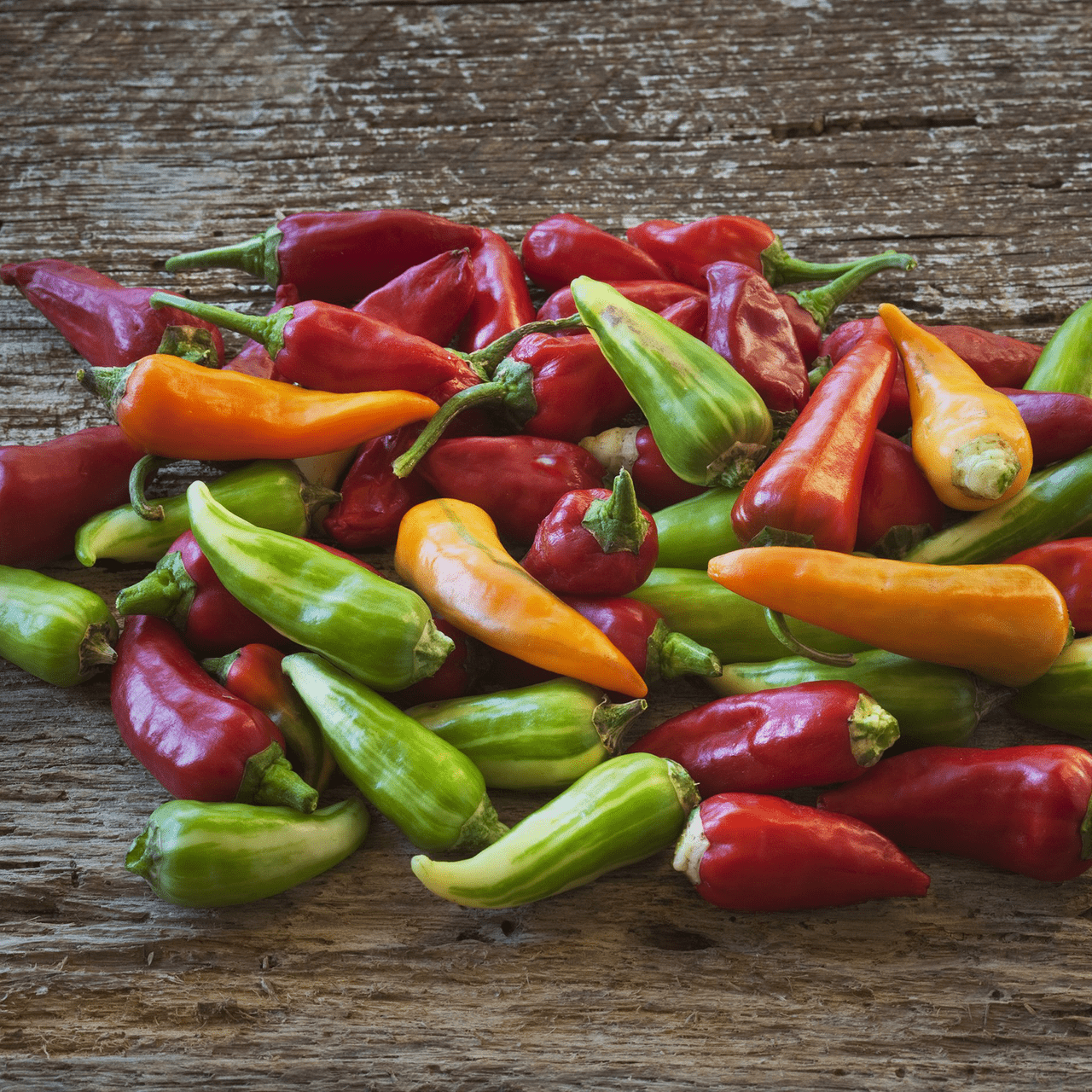 Fish Pepper Seeds (Capsicum annuum) - Shop-orias