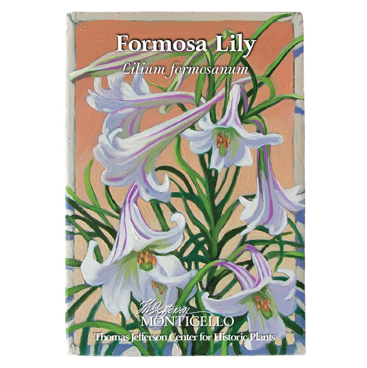 Formosa Lily Seeds (Lilium formosanum) - Shop-orias