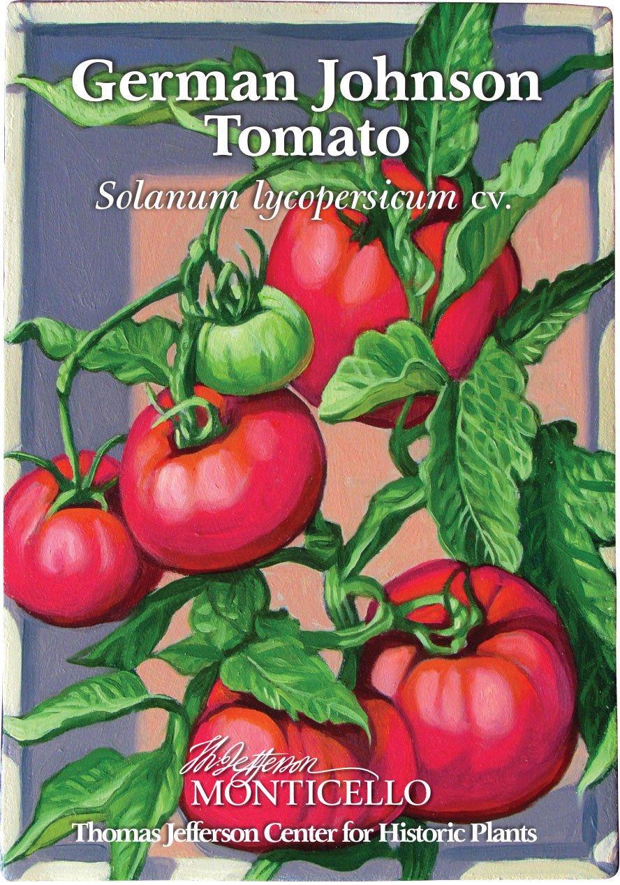 German Johnson Tomato Seeds (Solanum lycopersicum cv.) - Shop-orias