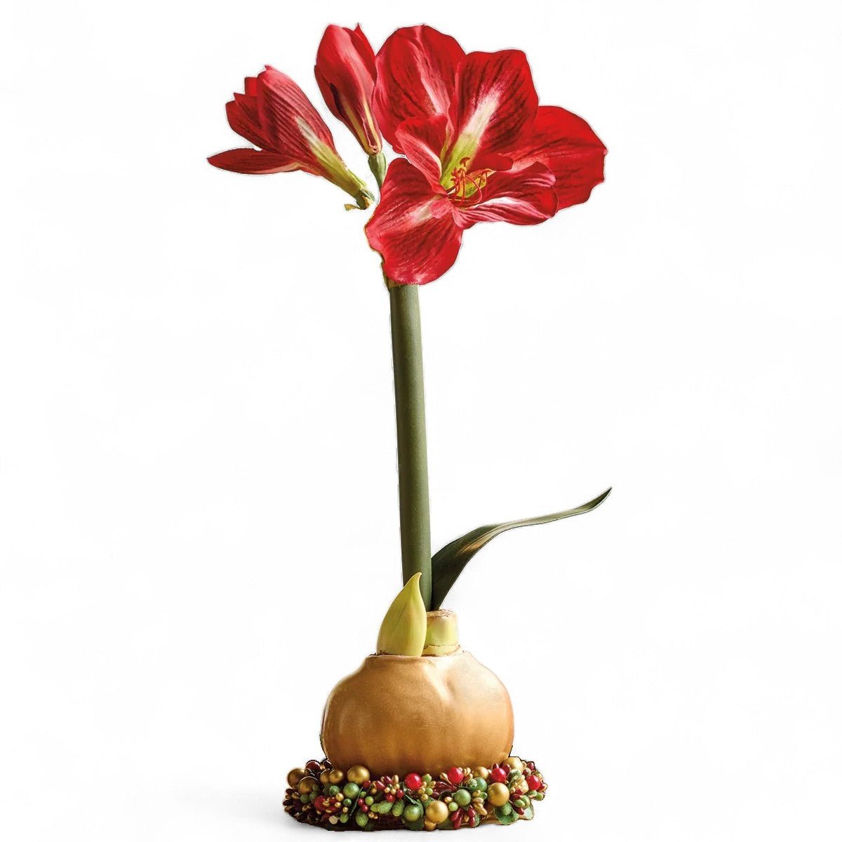 Gold Wax Amaryllis Bulb with Beaded Berry Base - Shop-orias