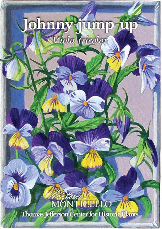 Johnny Jump Up Seeds (Viola tricolor) - Shop-orias