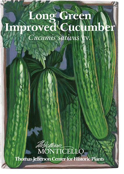 Long Green Improved Cucumber Seeds (Cucumis sativus cv.) - Shop-orias