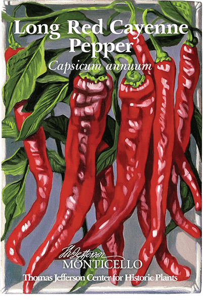 Long Red Cayenne Pepper Seeds (Capsicum annuum) - Shop-orias