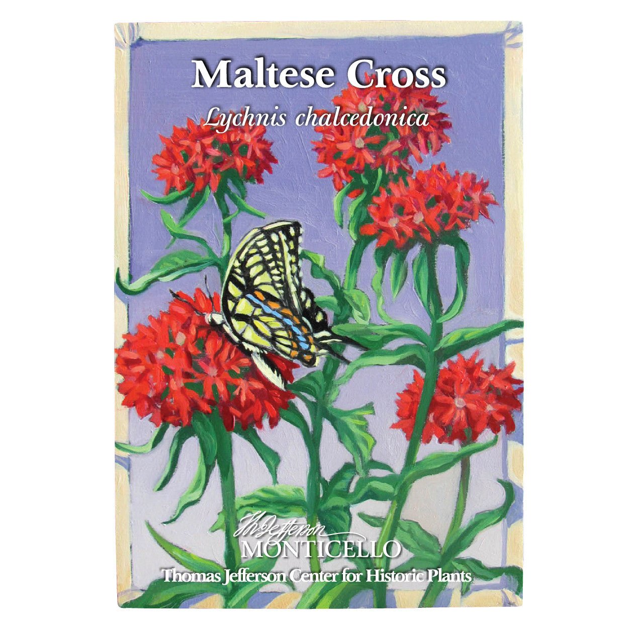 Maltese Cross Seeds (Lychnis chalcedonica) - Shop-orias