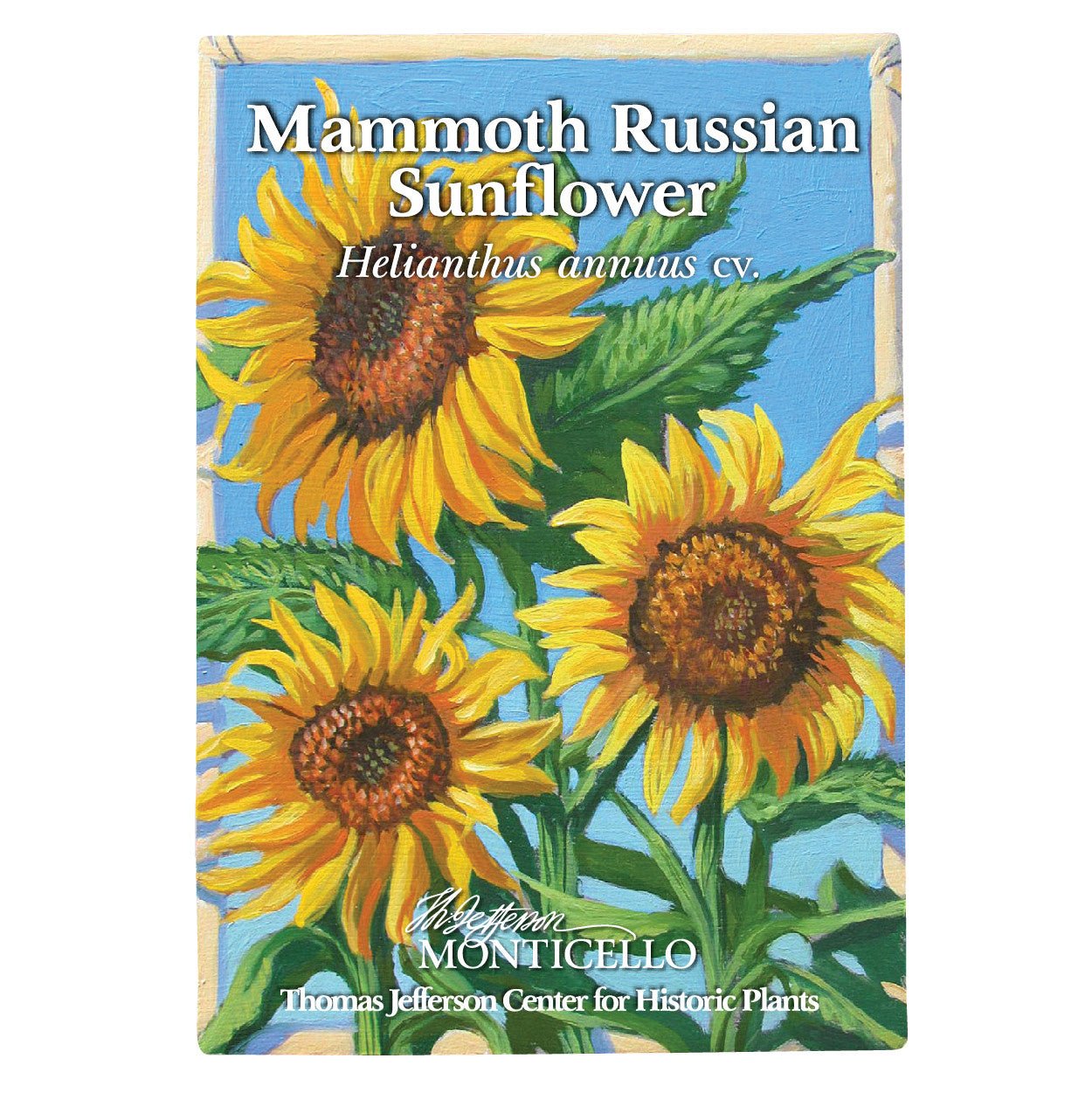 Mammoth Russian Sunflower Seeds (Helianthus annuus cv.) - Shop-orias