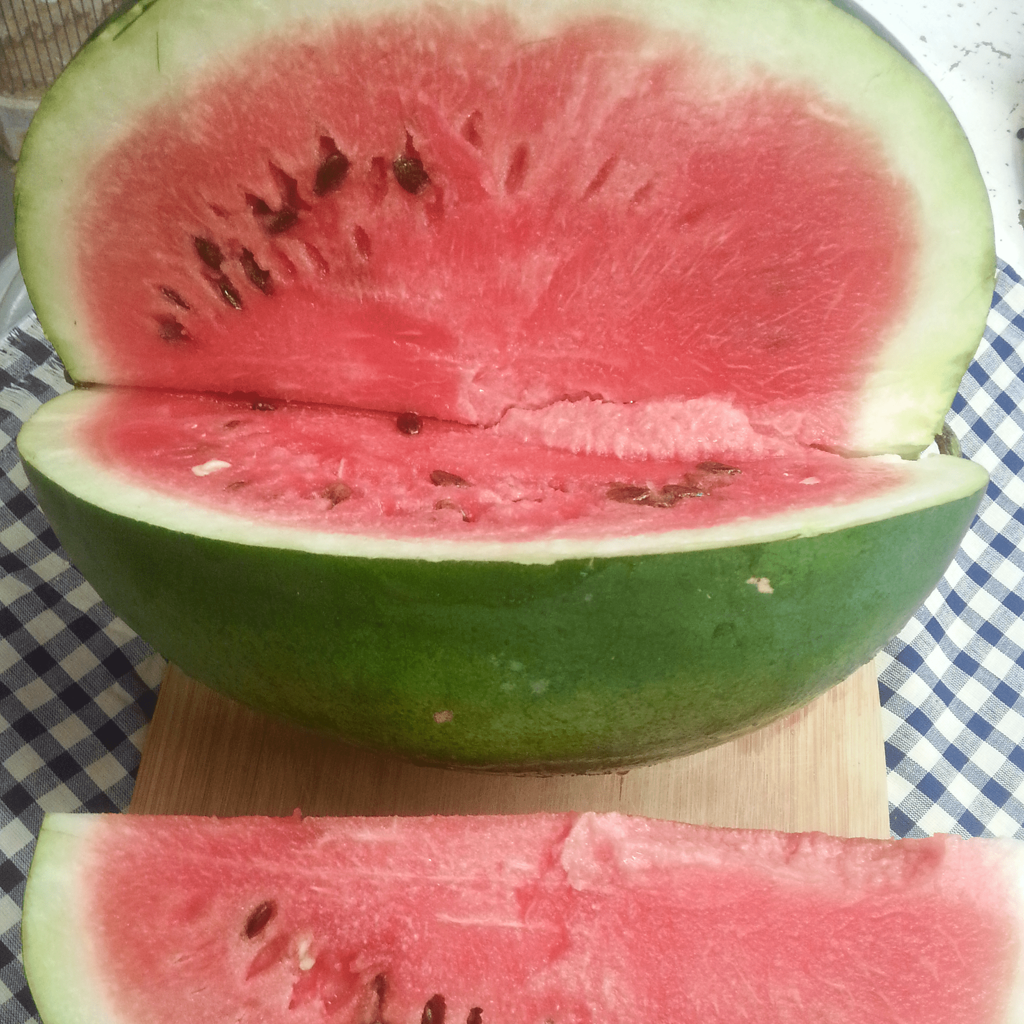 Mountain Sweet Watermelon Seeds (Citrullus lanatus cv.) - Shop-orias