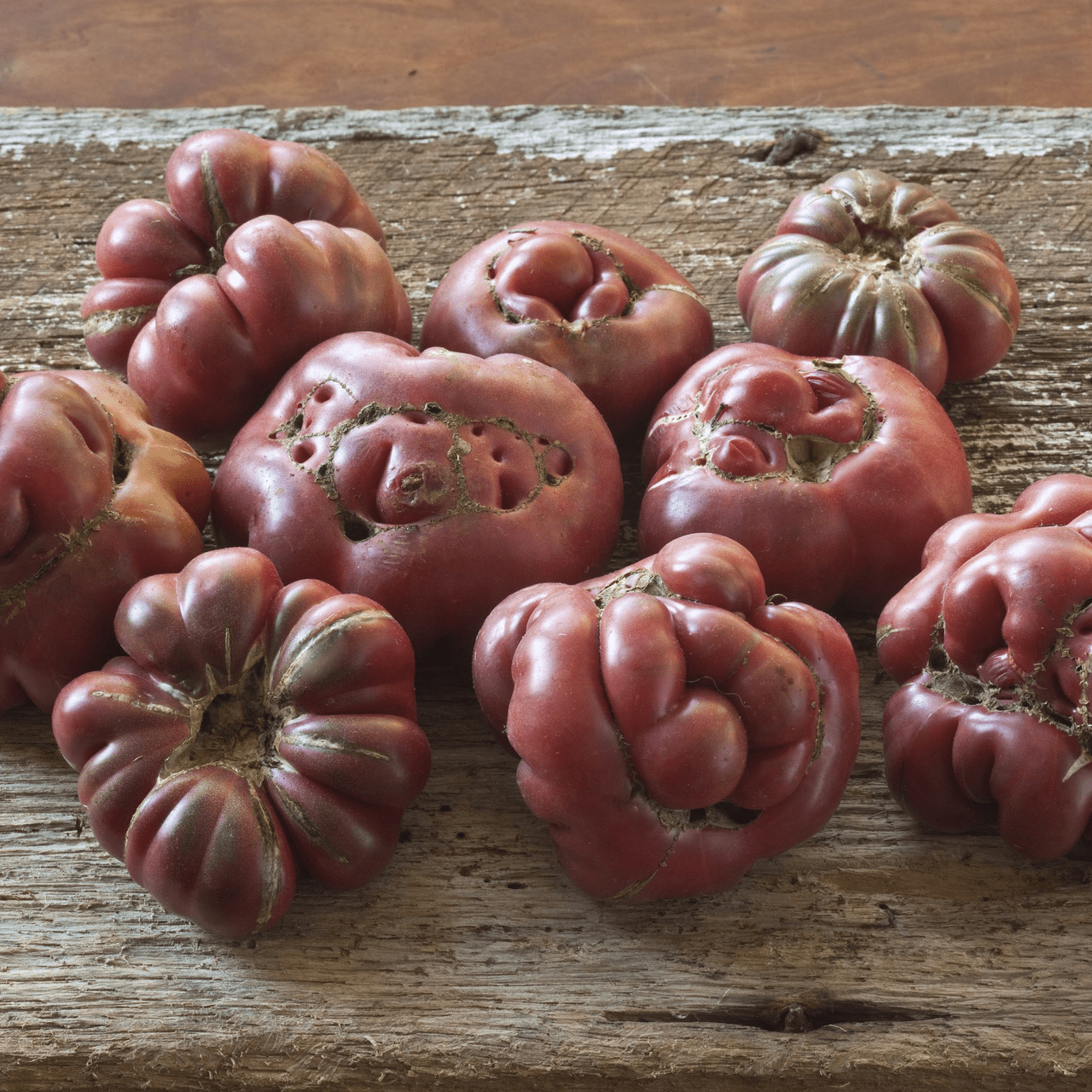 Purple Calabash Tomato Seeds (Solanum lycopersicum cv.) - Shop-orias