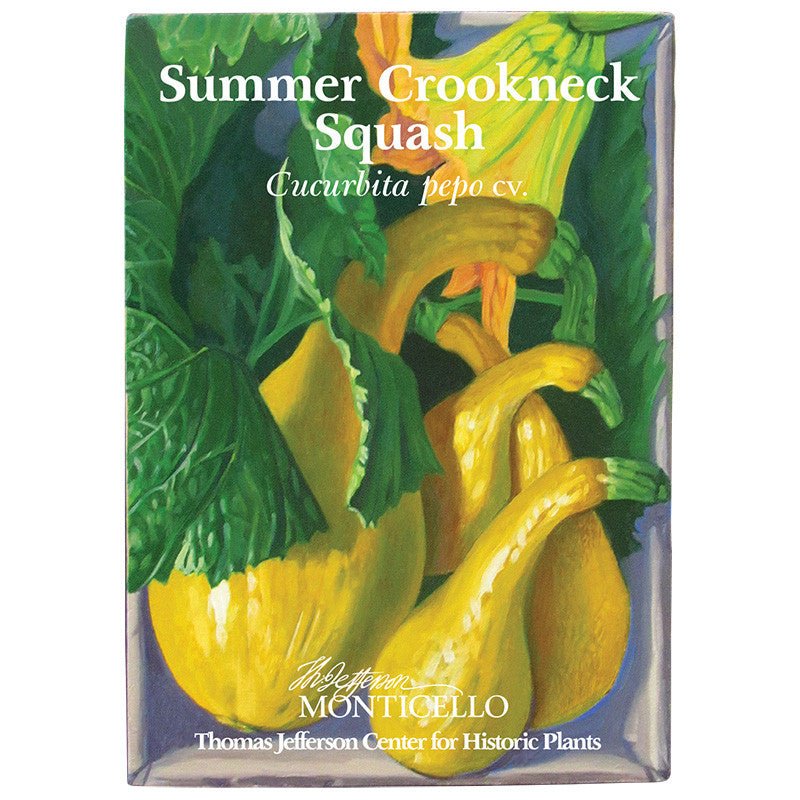 Summer Crookneck Squash Seeds (Cucurbita pepo cv.) - Shop-orias