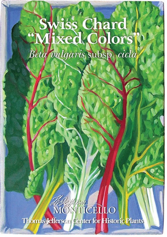 Swiss Chard "Mixed Colors" Seeds (Beta vulgaris subsp. cicla) - Shop-orias