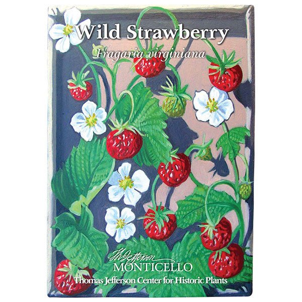 Wild Strawberry Seeds (Fragaria virginiana) - Shop-orias