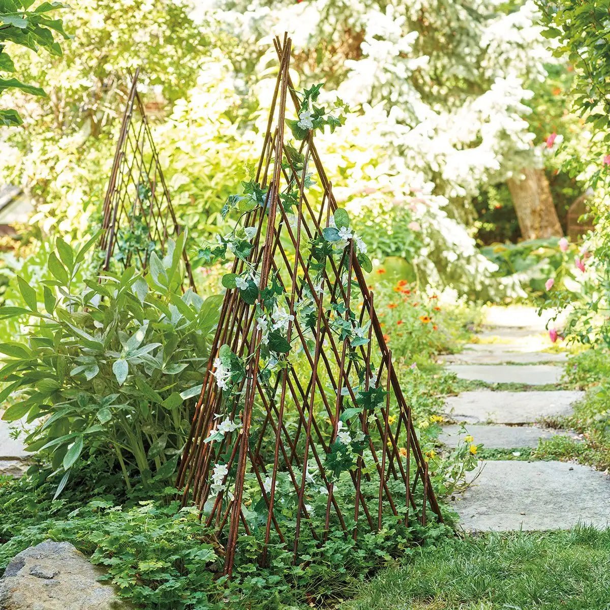 Willow Plant Pyramids (Set of 3) - Shop-orias