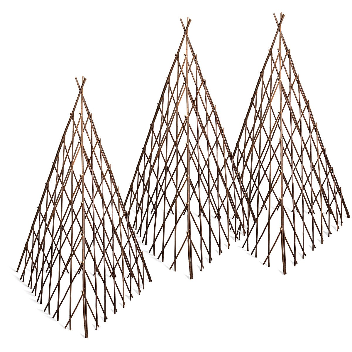 Willow Plant Pyramids (Set of 3) - Shop-orias