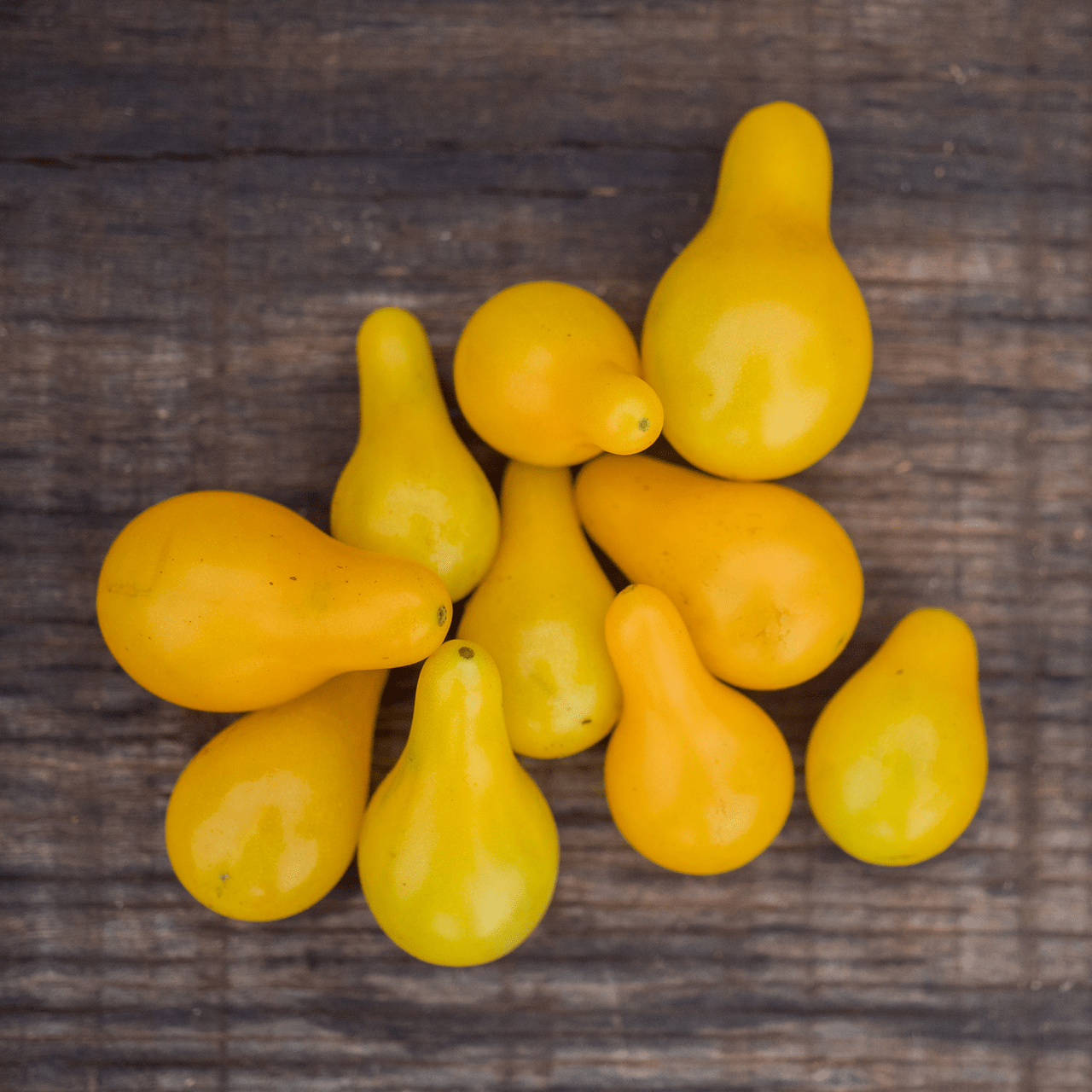 Yellow Pear Tomato Seeds (Solanum lycopersicum cv.) - Shop-orias