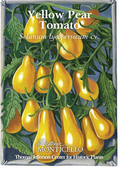 Yellow Pear Tomato Seeds (Solanum lycopersicum cv.) - Shop-orias
