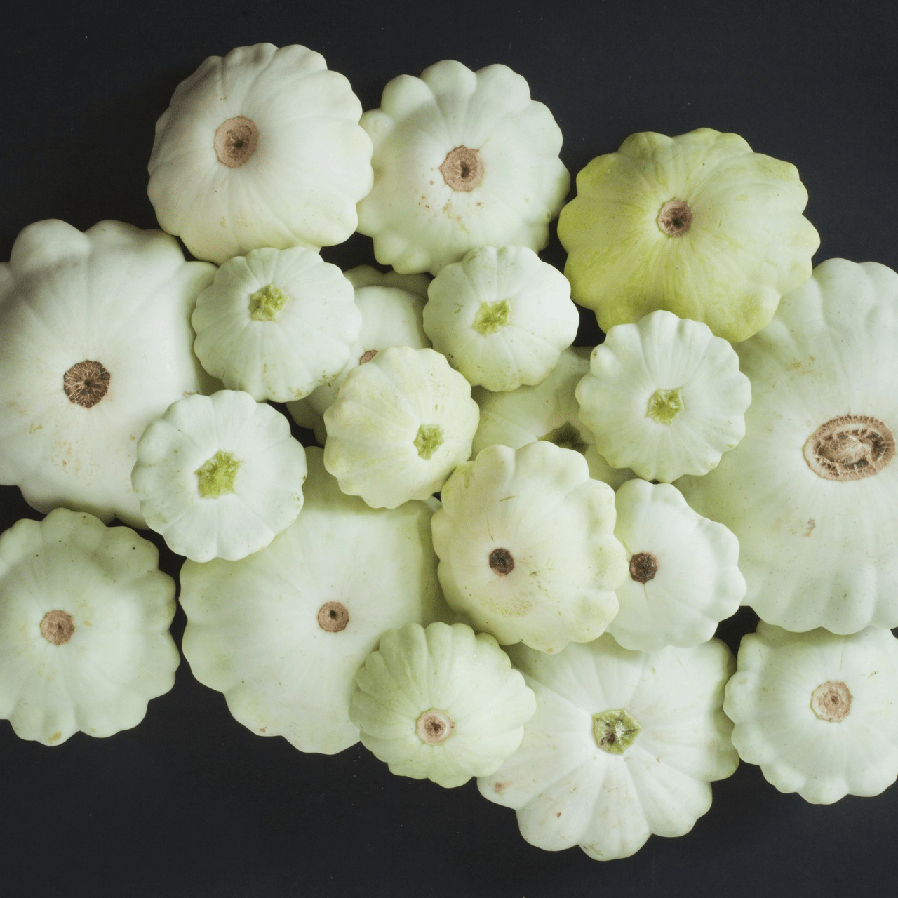 Cymling or Pattypan Squash Seeds (Cucurbita pepo) - Shop-orias