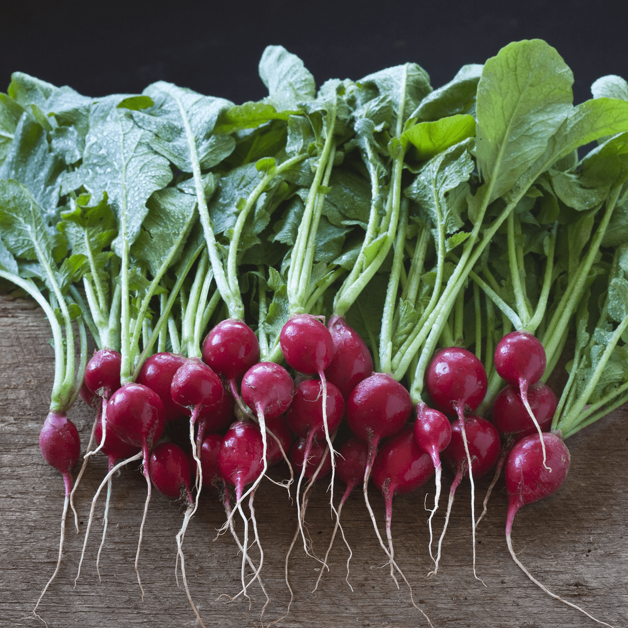 Early Scarlet Globe Radish Seeds (Raphanus sativus cv.) - Shop-orias