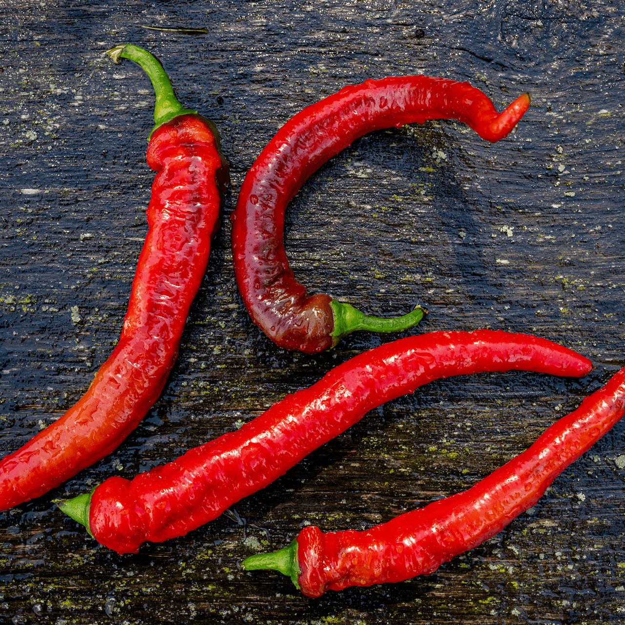 Jimmy Nardello's Sweet Pepper Seeds (Capsicum annuum var. annuum) - Shop-orias