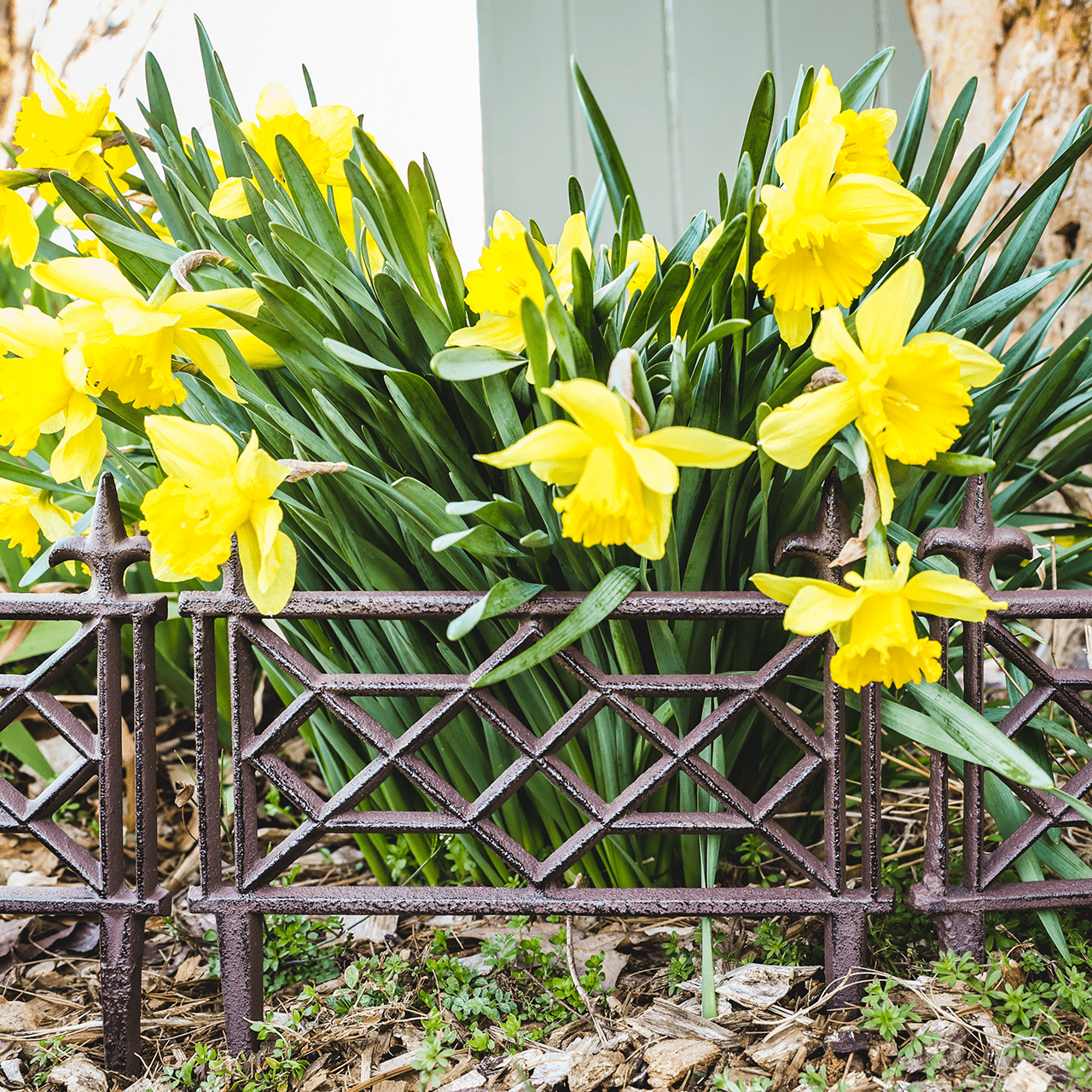 Monticello Chippendale Cast Iron Garden Fence - Shop-orias