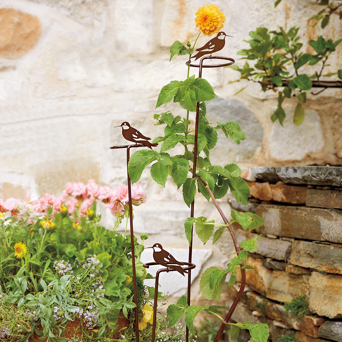 Monticello Hummingbird Plant Support Set - Shop-orias
