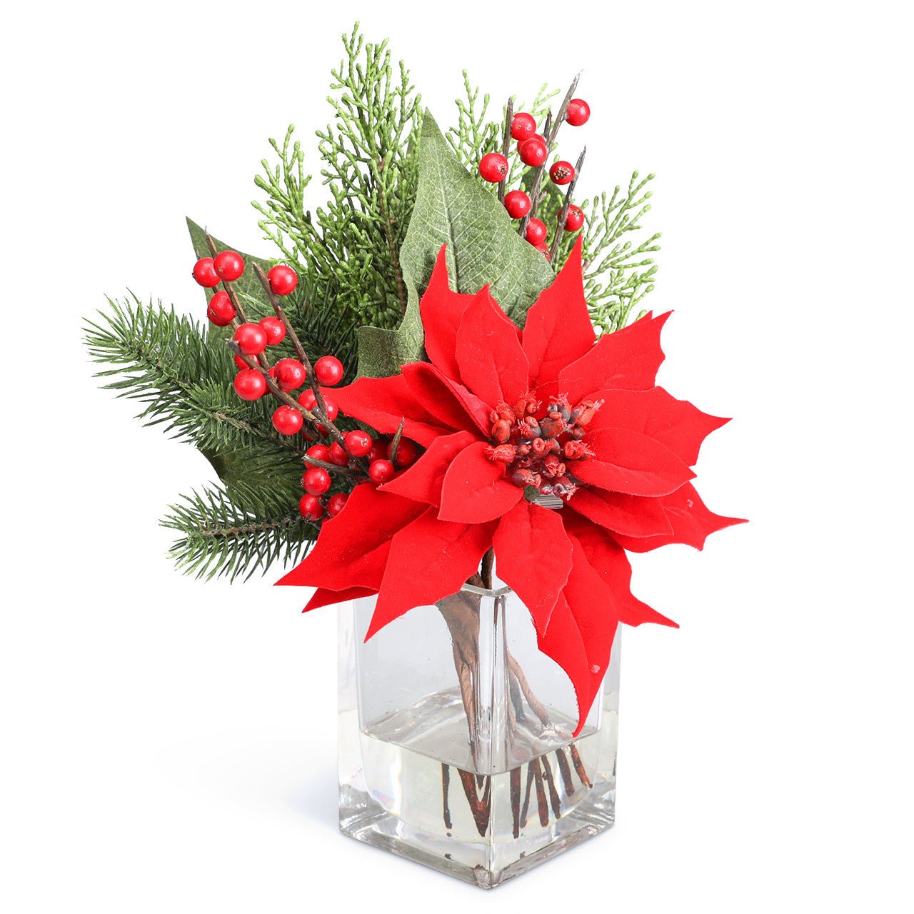 Poinsettia & Pine Arrangement - Shop-orias