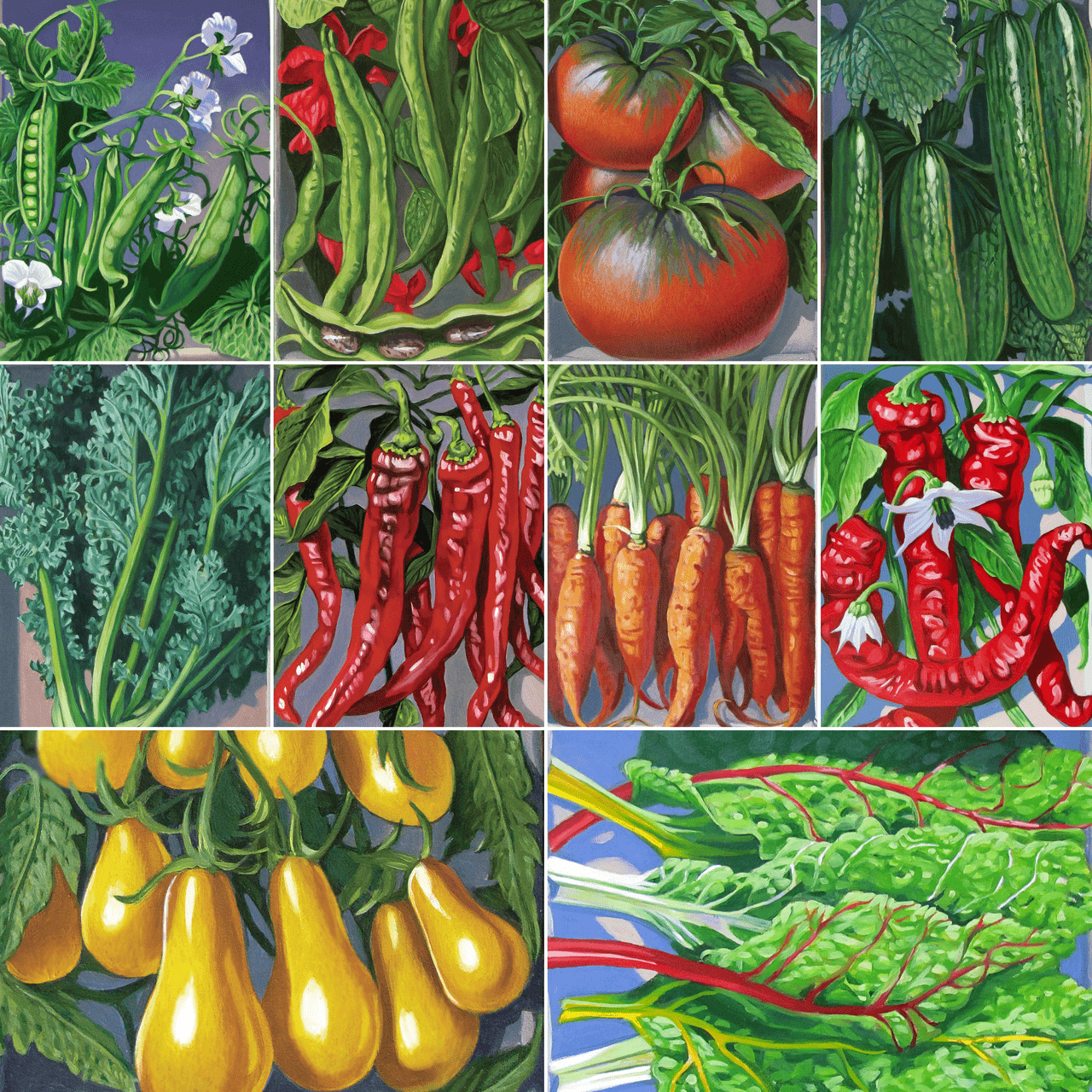 Seed Packet Box with Heirloom Vegetable Seeds - Shop-orias
