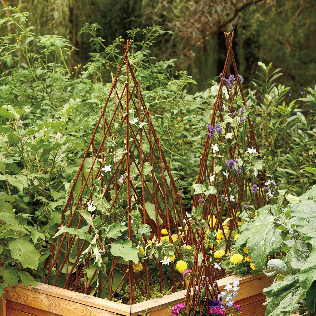 Willow Garden Pyramid Trellis - Shop-orias