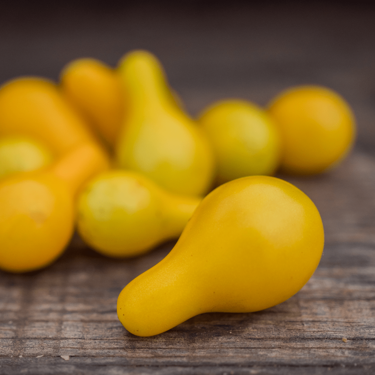Yellow Pear Tomato Seeds (Solanum lycopersicum cv.) - Shop-orias